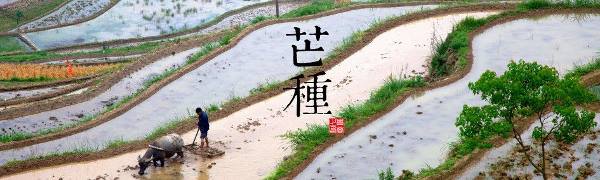 肩こり